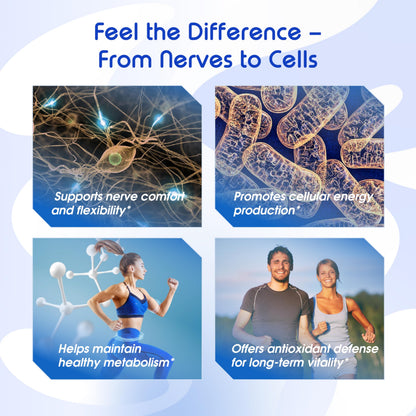 VITAL HERBAL Liposomal Benfotiamine with Alpha Lipoic Acid - Maximum Potency - Made in The USA