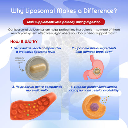 VITAL HERBAL Liposomal Benfotiamine with Alpha Lipoic Acid - Maximum Potency - Made in The USA