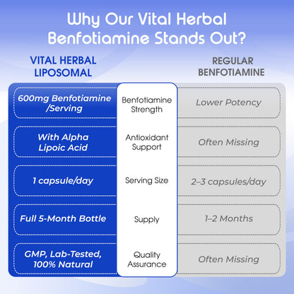 VITAL HERBAL Liposomal Benfotiamine with Alpha Lipoic Acid - Maximum Potency - Made in The USA