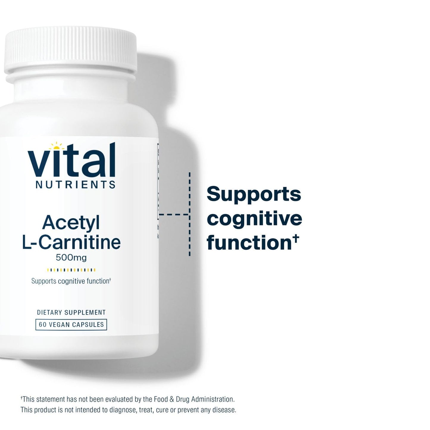 Vital Nutrients Acetyl L-Carnitine 500mg – Brain & Cognitive Support | Vegan, Non-GMO | 60 Capsules
