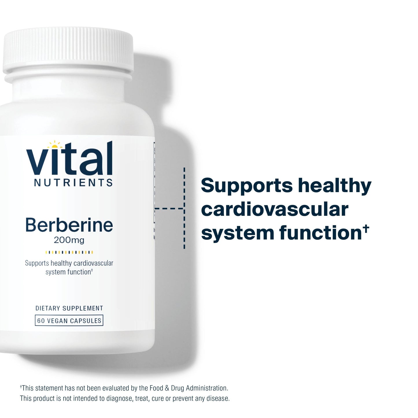 Vital Nutrients Berberine | Supports Healthy Bowel Function and Normal Triglyceride Levels | Vegan Supplement | Gluten, Dairy and Soy Free | 200 mg | 60 Capsules