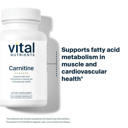 Vital Nutrients Carnitine 500mg – L-Carnitine for Heart Health | Vegan, Gluten & Dairy Free | 60 Capsules
