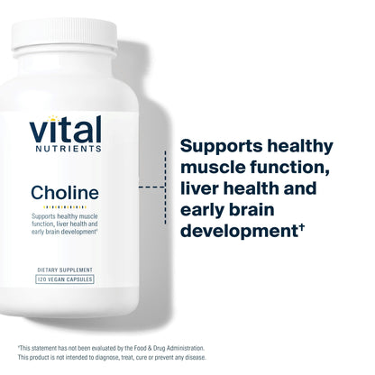 Vital Nutrients Choline 550mg – Vegan, Non-GMO, 100% RDA | 120 Capsules