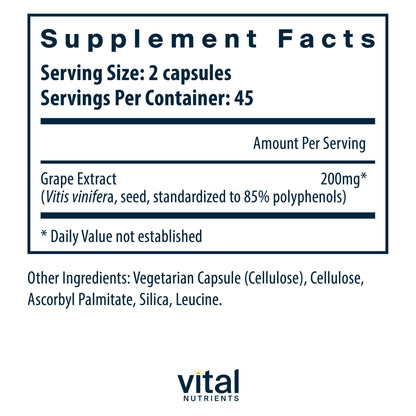 Vital Nutrients Grape Seed Extract 100mg | Antioxidant Support for Circulation & Veins | 90 Capsules