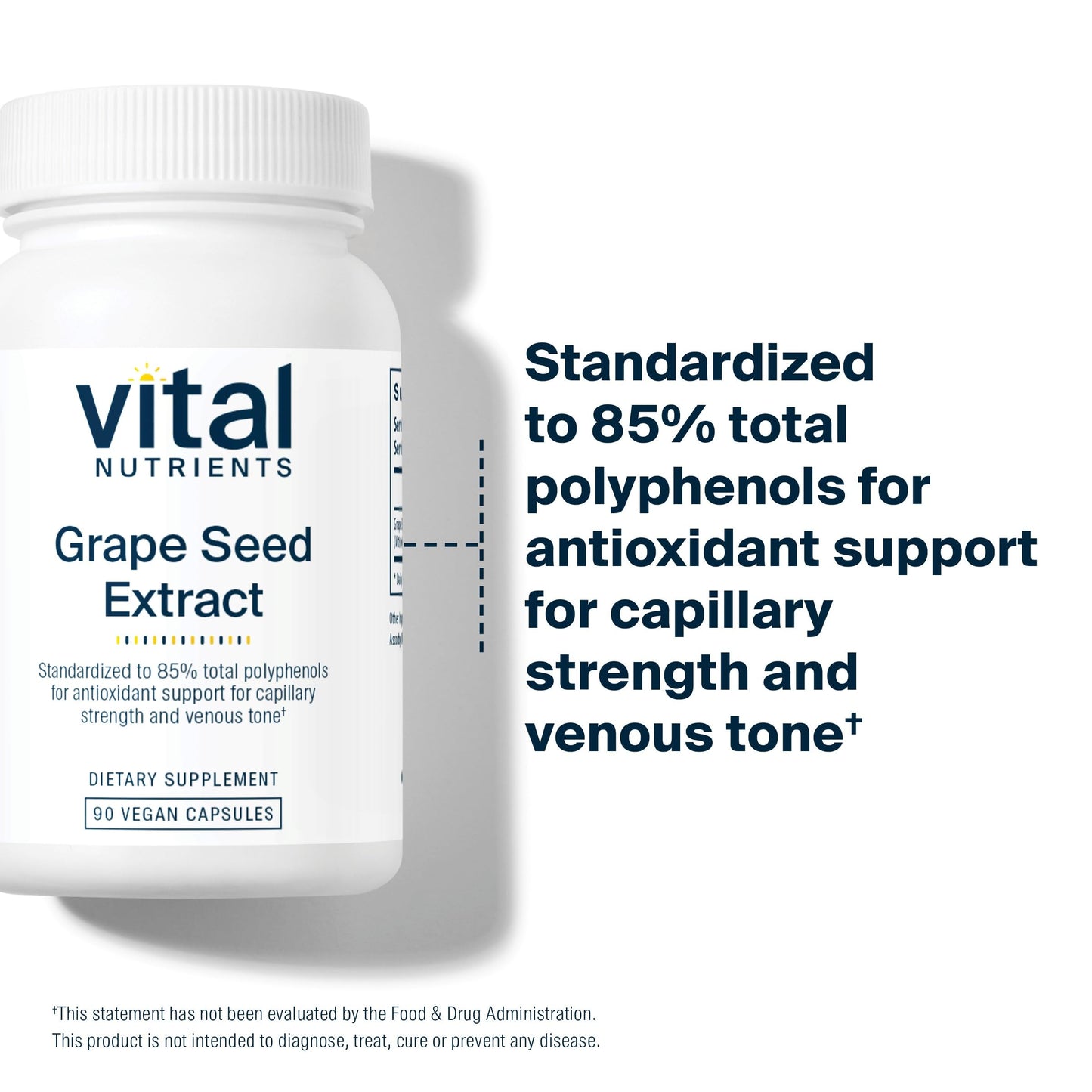 Vital Nutrients Grape Seed Extract 100mg | Antioxidant Support for Circulation & Veins | 90 Capsules