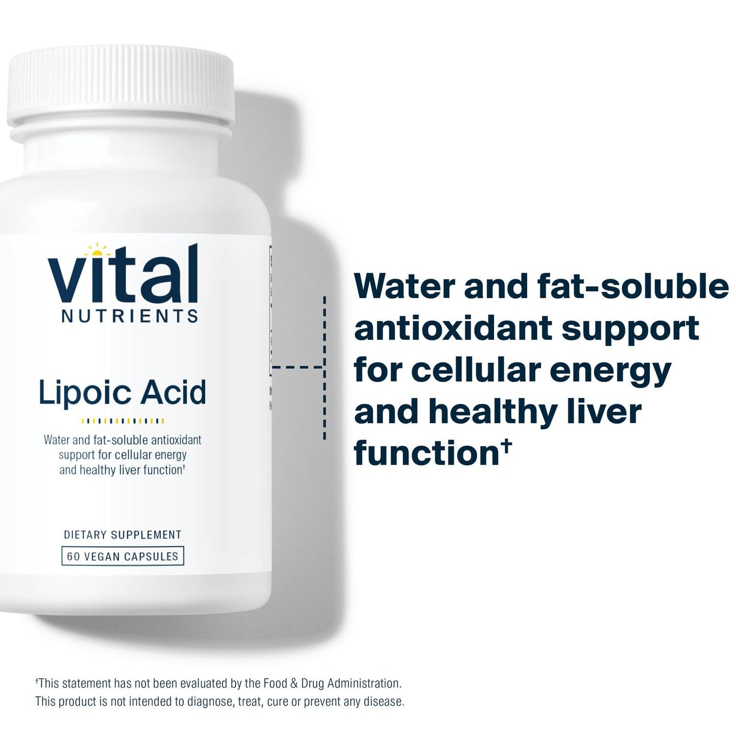Vital Nutrients Lipoic Acid 300mg | ALA Antioxidant for Metabolism & Energy | 60 Capsules
