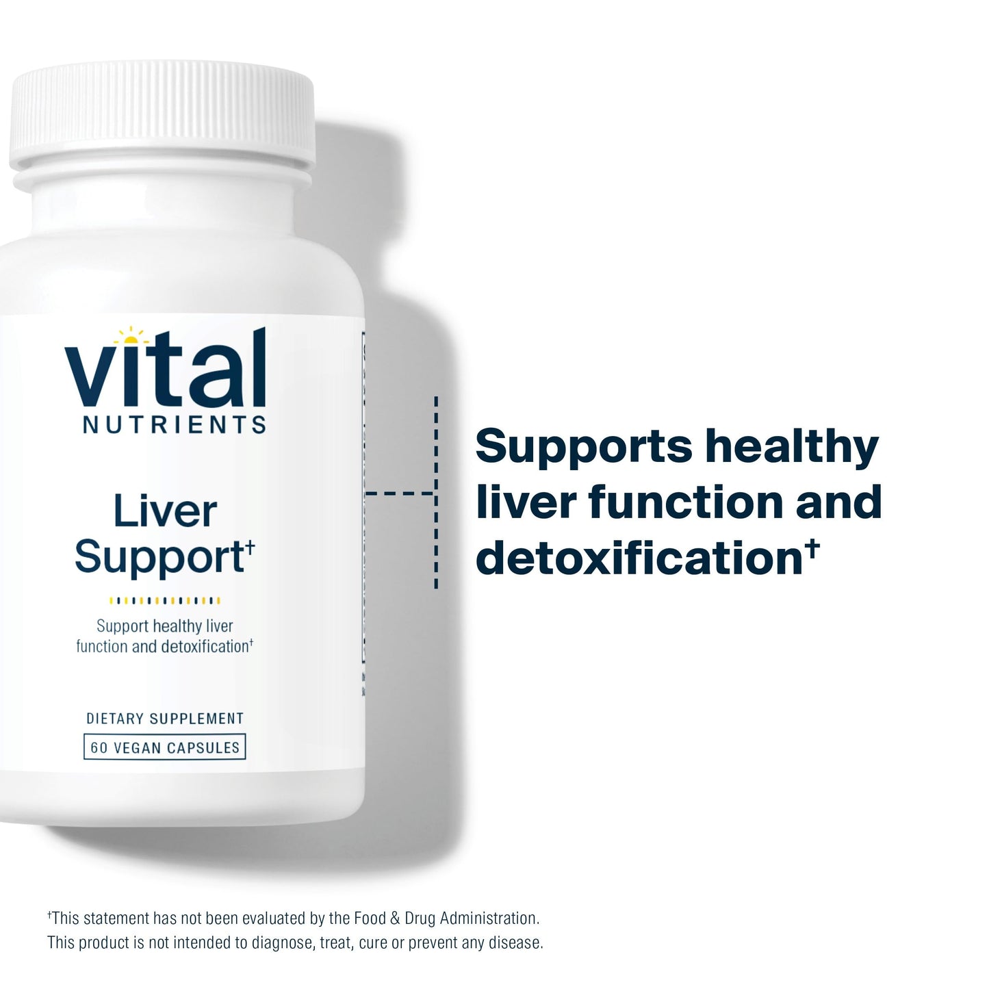 Vital Nutrients Liver Support with Milk Thistle & Curcumin | Vegan, Gluten-Free | 60 Capsules