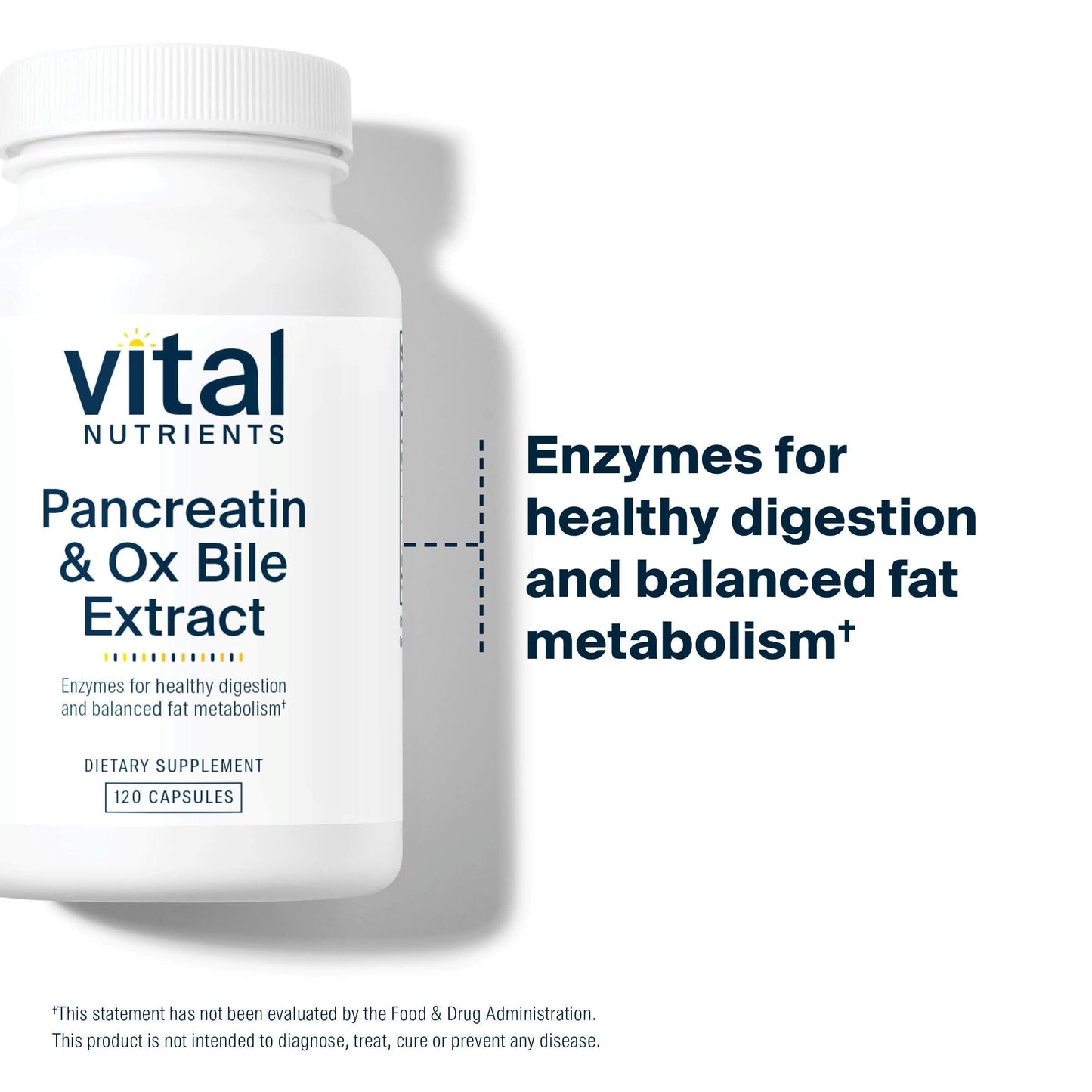 Vital Nutrients Pancreatin & Ox Bile Extract 500mg | Digestive Enzymes for Protein, Fat & Carbs | Gluten Free | 120 Capsules