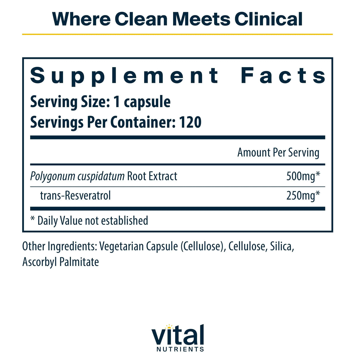 Vital Nutrients Resveratrol | Ultra High Potency Trans-Resveratrol 250 mg | Vegan, Non-GMO | 120 Capsules BritishVita | Premium UK Vitamins & Wellness Supplements