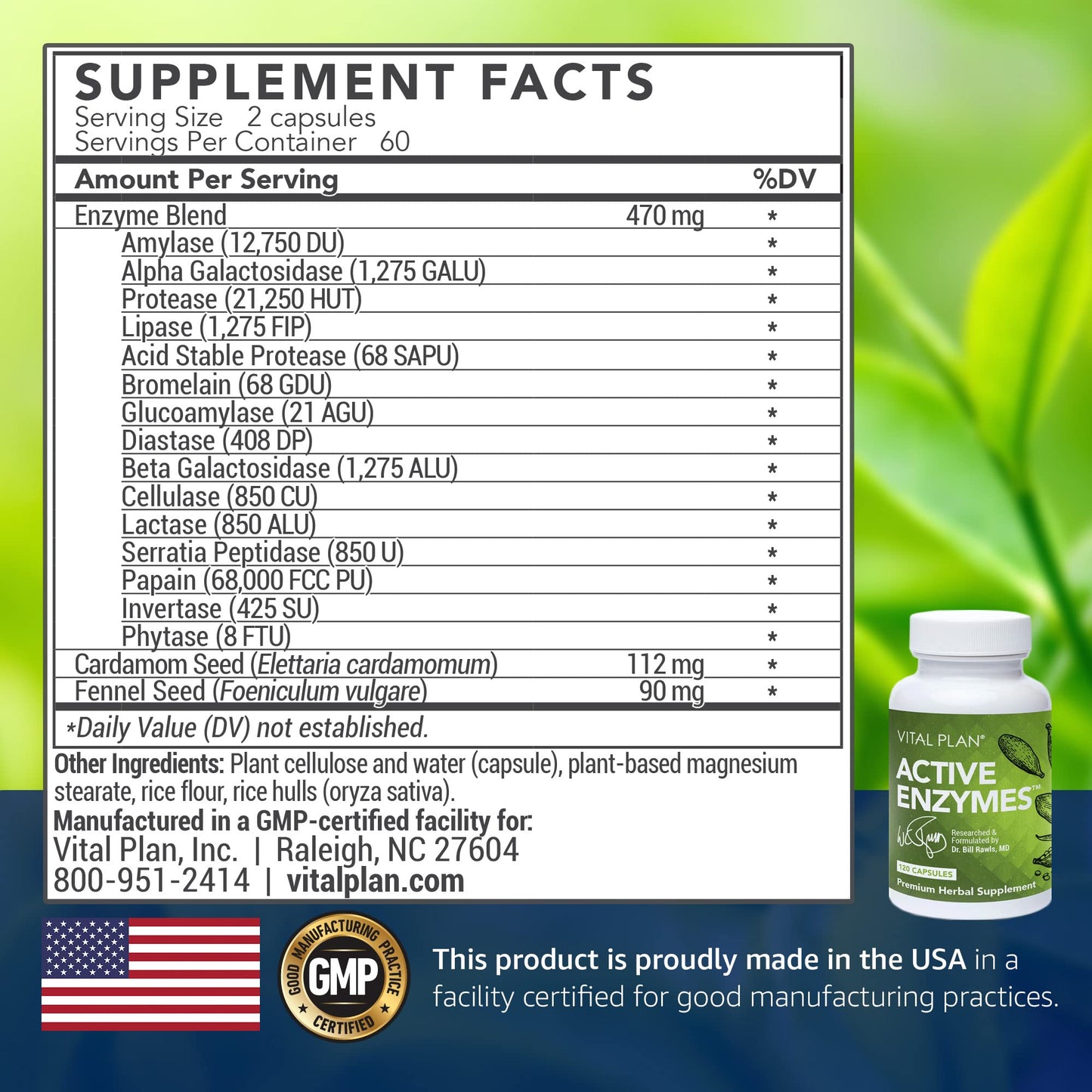 Vital Plan Active Enzymes Supplement by Dr. Bill Rawls – Digestive Enzymes for Gut Health (120 Capsules)