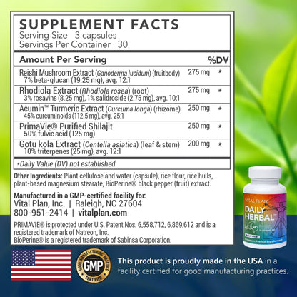 Vital Plan Daily Herbal Supplement by Dr. Bill Rawls – Immune Support, Microbiome Balance & Cell Health