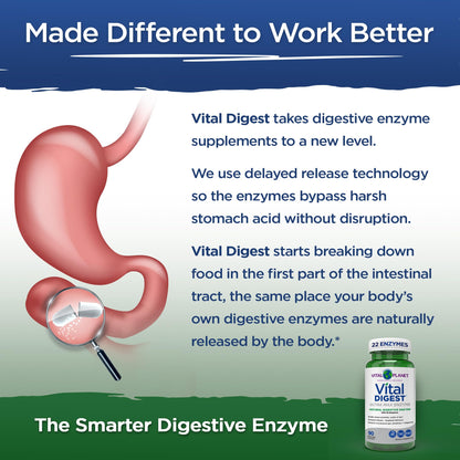 Vital Planet Vital Digest Natural Digestive Enzymes – Supports Protein, Fat & Carbohydrate Breakdown | 90 Capsules (Packaging May Vary)