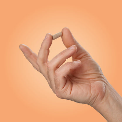Vital Vitamins Brain Support with Bacopa Monnieri – Memory & Focus Nootropic (Caffeine-Free)