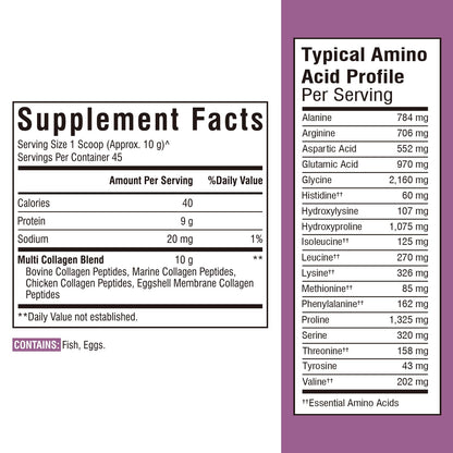 Vitalibre Multi Collagen Peptides Powder – Type I-V-X, Unflavored, 16oz, 45 Servings
