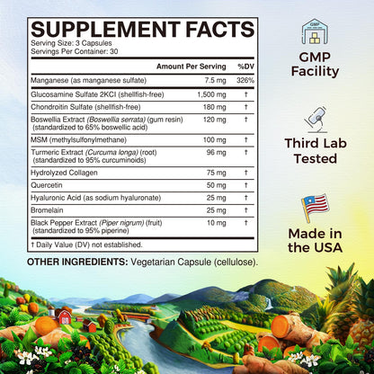 Vitalitown 11-in-1 Glucosamine Chondroitin MSM Turmeric Collagen – 240 Caps (Shellfish-Free)