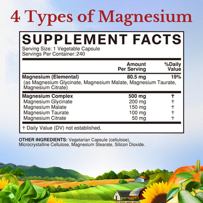 Vitalitown Magnesium Complex 500 mg | Chelated Glycinate, Citrate, Taurate & Malate | 240 Vegan Capsules | NSF Certified
