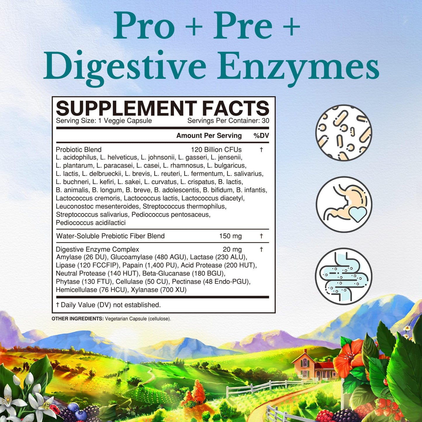Vitalitown Probiotics 120B CFUs – 36 Strains, Prebiotics & Enzymes