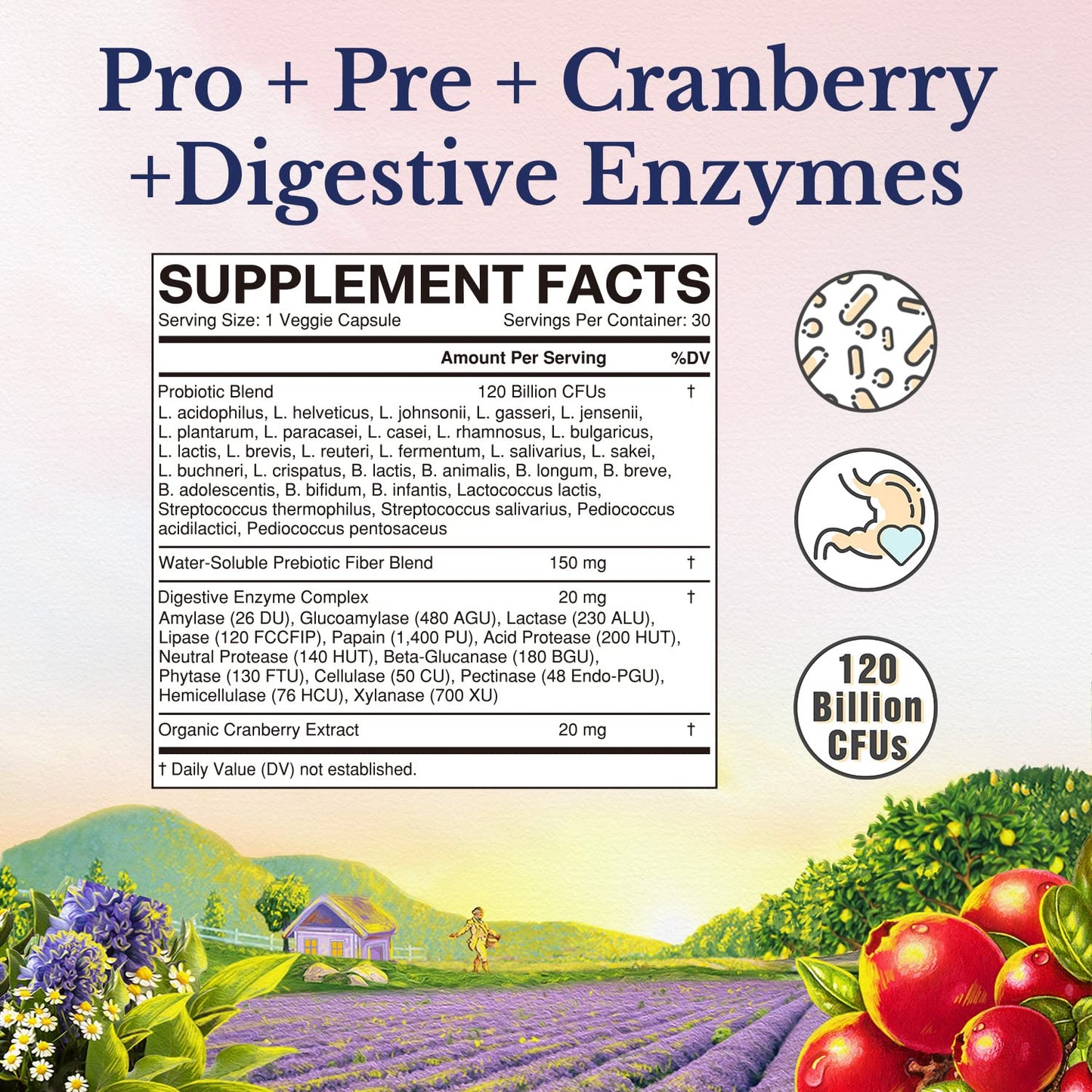 Vitalitown Probiotics for Women – 120 Billion CFUs, 30 Strains, Prebiotics & Enzymes | Vegan