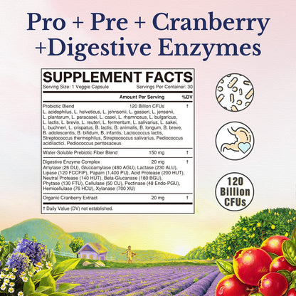 Vitalitown Probiotics for Women – 120 Billion CFUs, 30 Strains, Prebiotics & Enzymes | Vegan