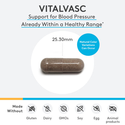 XYMOGEN VitalVasc – Grape Seed & Olive Leaf Extract Capsules | Antioxidant Support | Gluten Free, Vegan & Non-GMO (60 Caps)