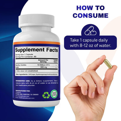 Vitamatic Bacillus Subtilis 10B DR Capsule – 60 Count | Digestive & Immune Health + Prebiotic Inulin