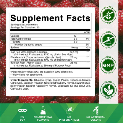 Vitamatic Irish Sea Moss Gummies – 60 Ct | 3000mg Equivalent Per Serving (from Extract 132.5mg) | Bladderwrack & Burdock Root
