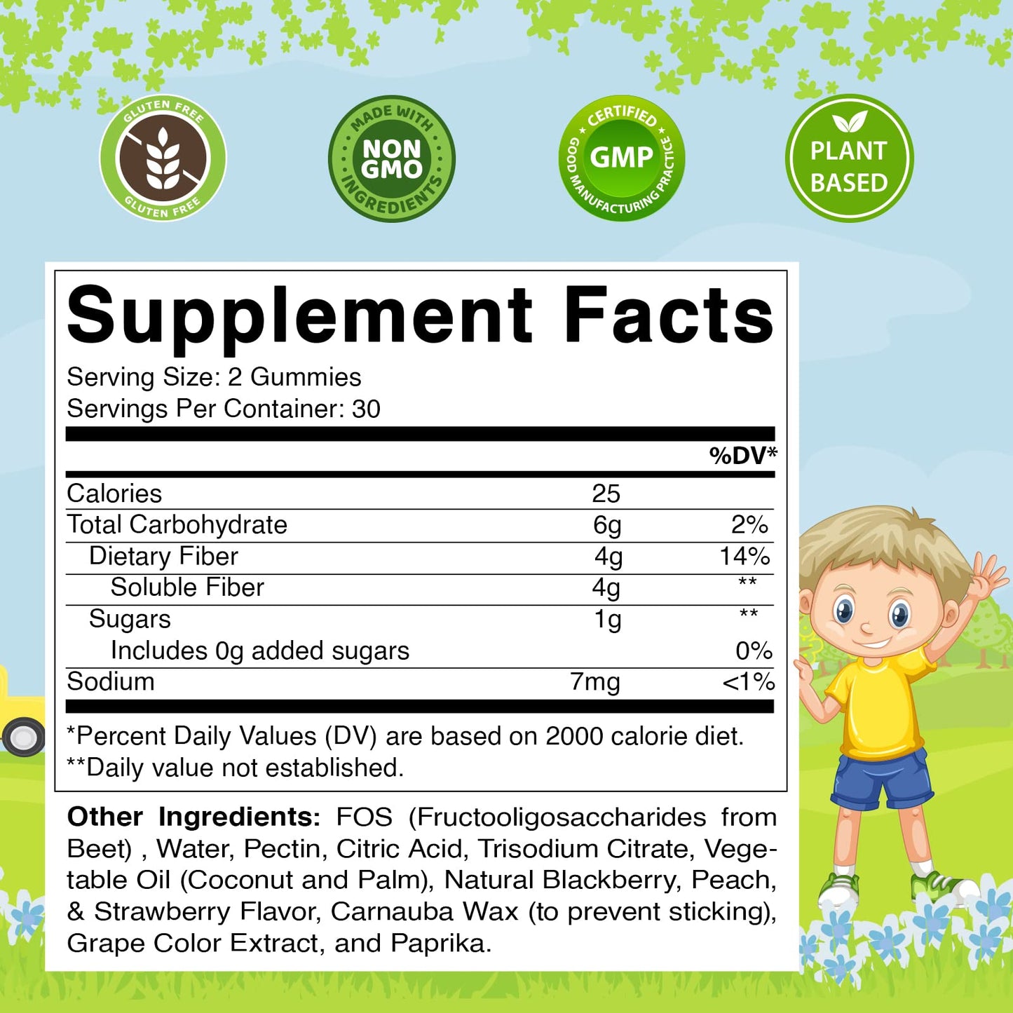 Vitamatic Kids Prebiotic Fiber Gummies – 4g Fiber, Zero Sugar, Pack of 2