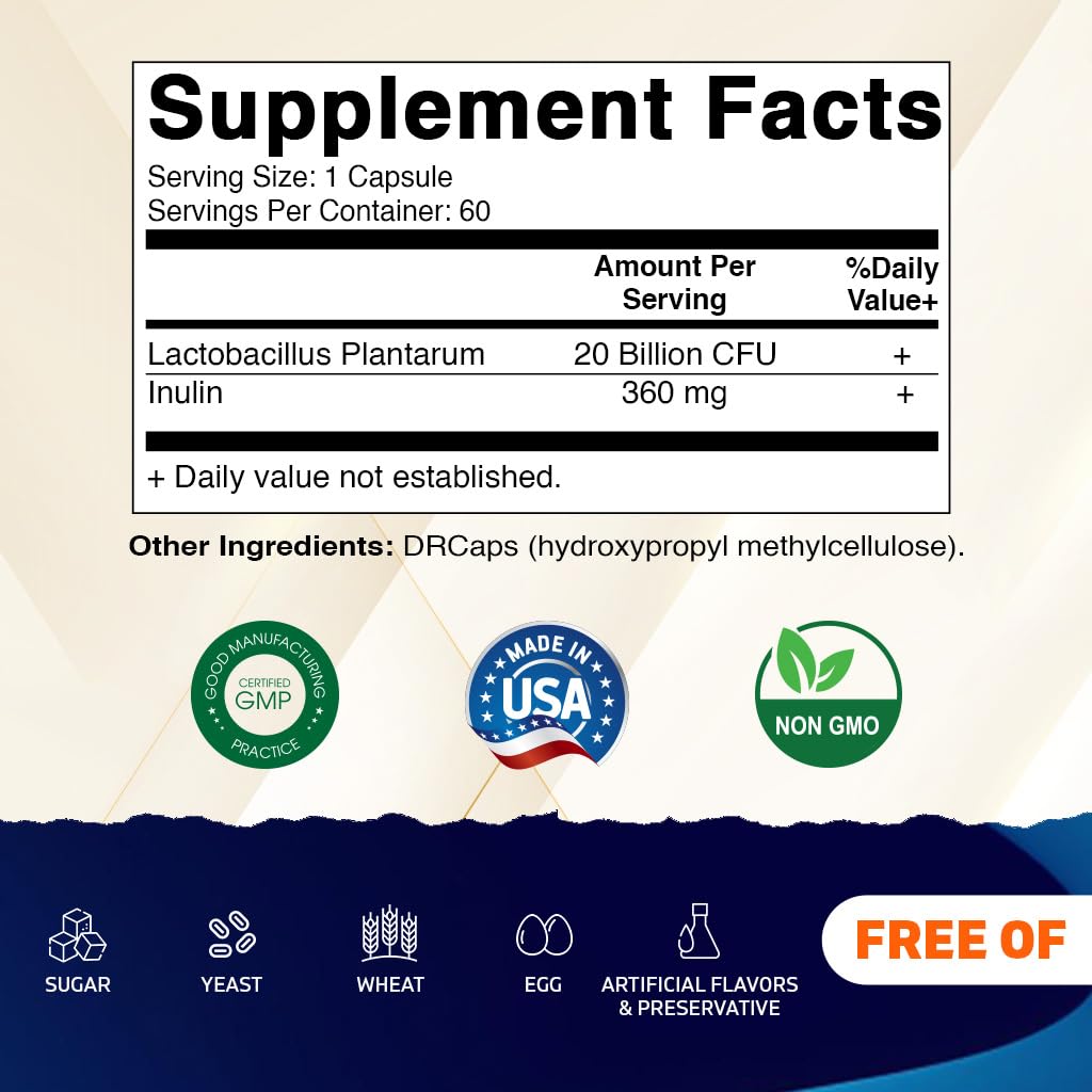 Vitamatic Lactobacillus Plantarum – 20B CFU DR Capsules – 60 Count (2-Pack)