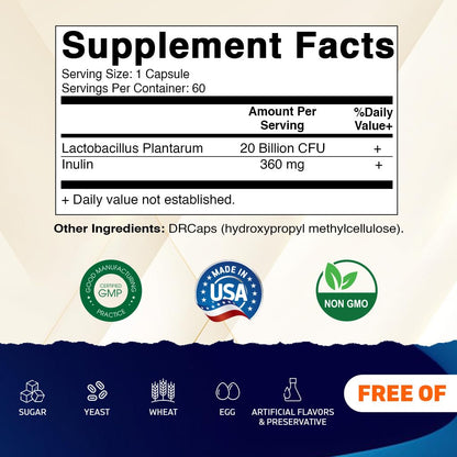 Vitamatic Lactobacillus Plantarum – 20B CFU DR Capsules – 60 Count (2-Pack)