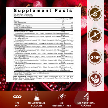 Vitamatic Mushroom Complex with D3 - 60 Pectin Gummies | 12-Mushroom Blend + 600 IU D3