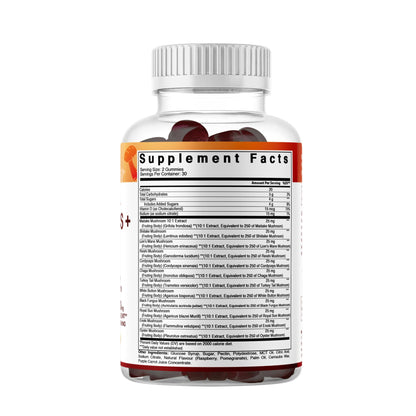 Vitamatic Mushroom Complex with D3 - 60 Pectin Gummies | 12-Mushroom Blend + 600 IU D3