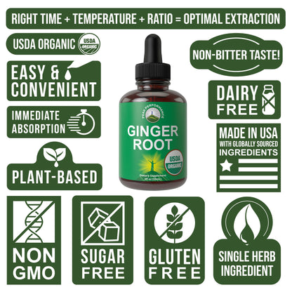 USDA Organic Ginger Root Liquid Drops – Zero Sugar, Vegan, Immune & Digestive Support