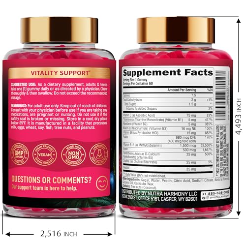 Vitamin B-Complex Gummies for Women & Men - B1-B12 + Vitamin C & Choline - Berry Flavor, Vegan (60 Gummies)