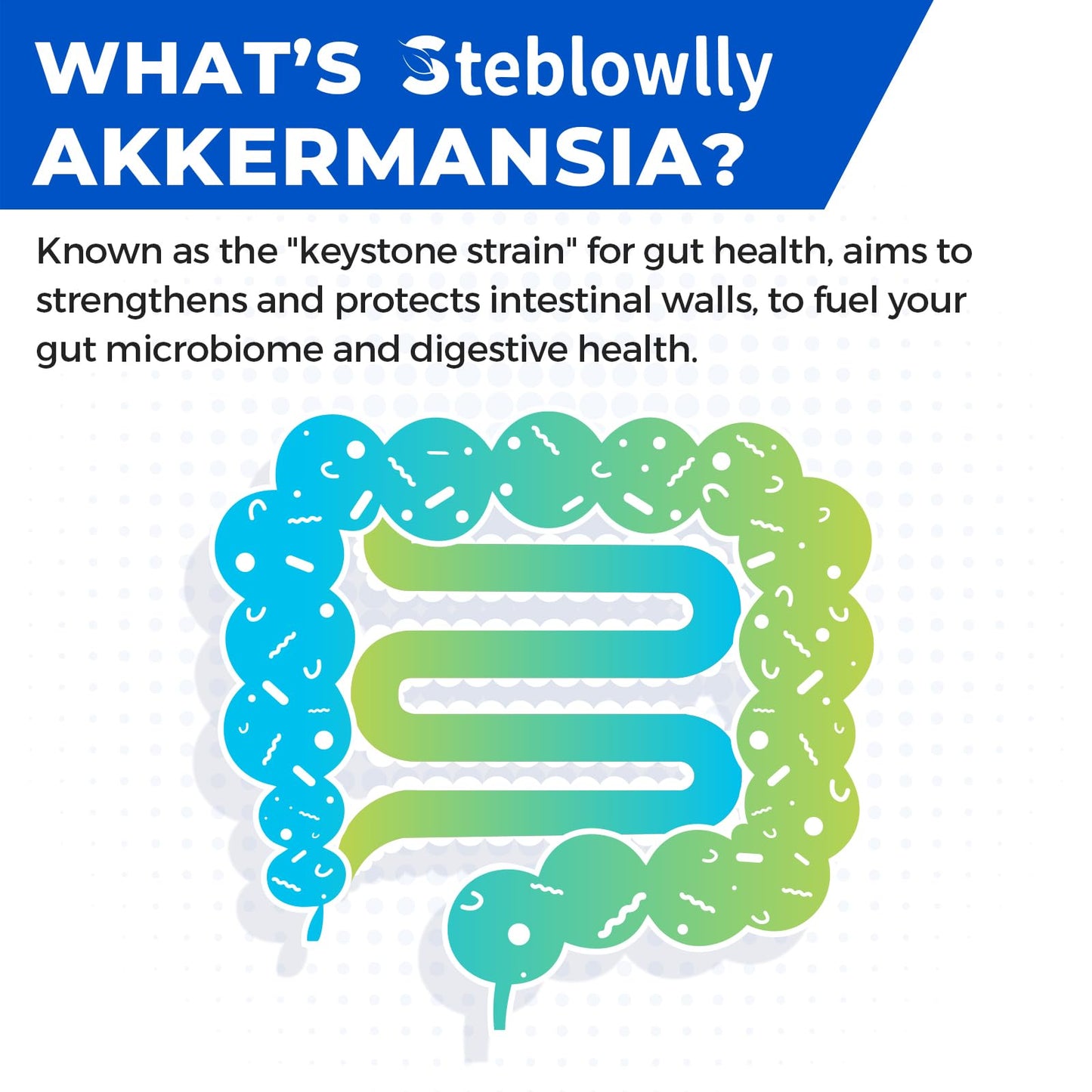 Akkermansia Probiotic with GLP-1 – 60 Capsules for Gut Health