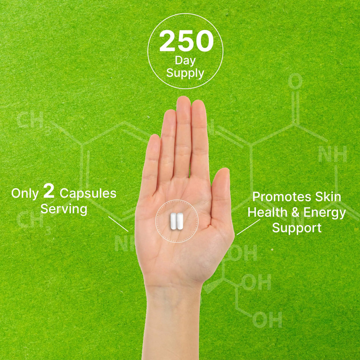 DEAL SUPPLEMENT Vitamin B3 Nicotinamide 1,000mg – 500 Capsules, Flush Free, Non-GMO BritishVita | Premium UK Vitamins & Wellness Supplements