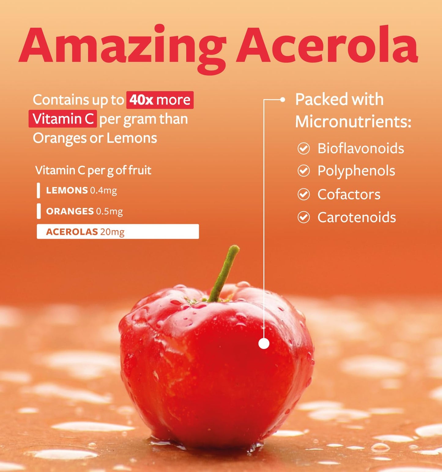 Certified Organic Vitamin C Supplement - Acerola Immune Support (1 Month Supply)