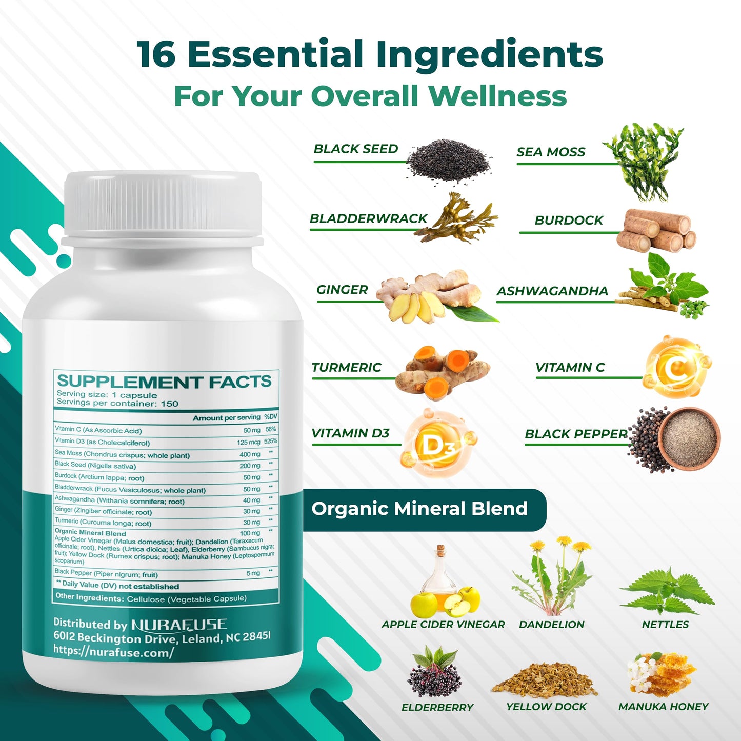 SEA Moss Black Seed Oil Ashwagandha Ginger 16-in-1 Formula - Non-GMO, Gluten-Free, Soy-Free