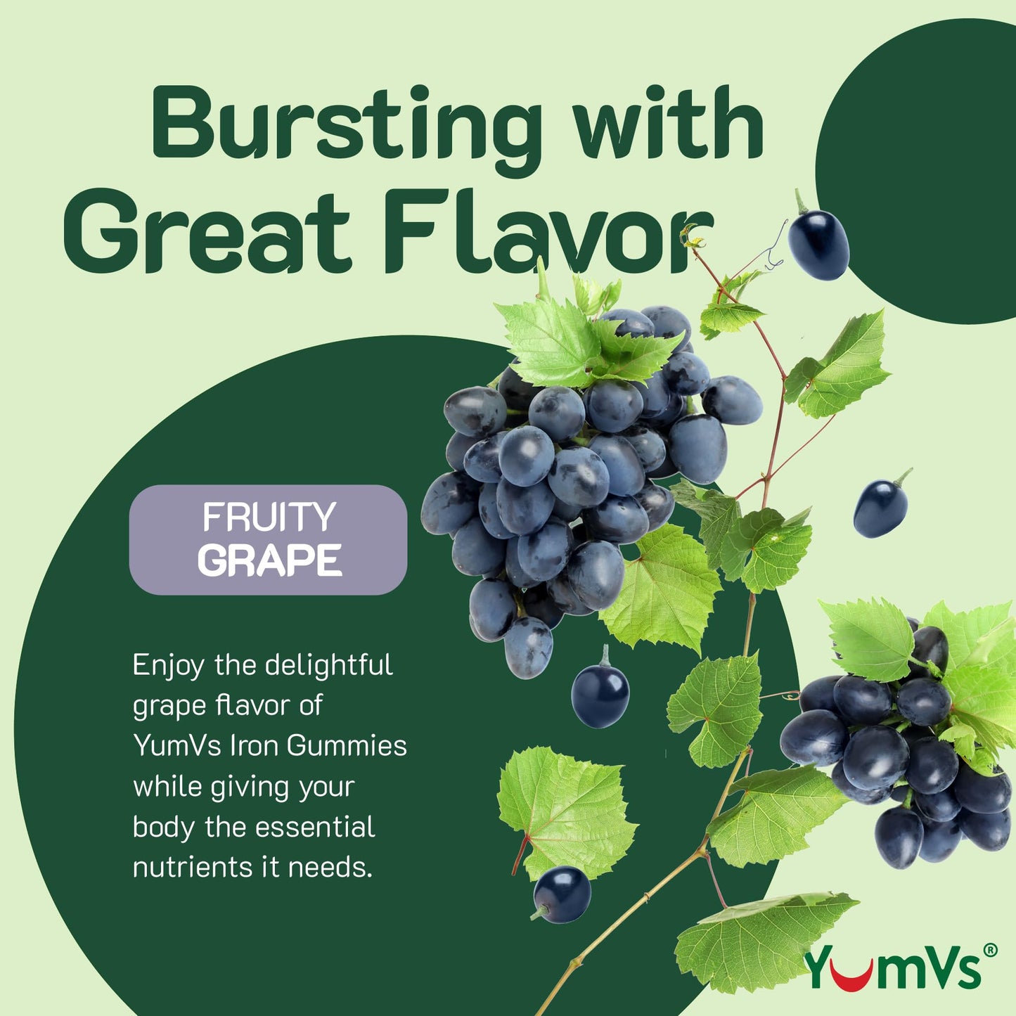 Iron Gummies with Vitamin C – 10 mg Iron, Grape Flavor (60 Count) – Vegan, Kosher, Non-GMO