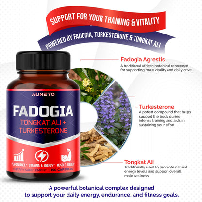Fadogia Agrestis Supplement with Turkesterone, Tongkat Ali & D3 – Male Energy, Strength & Memory