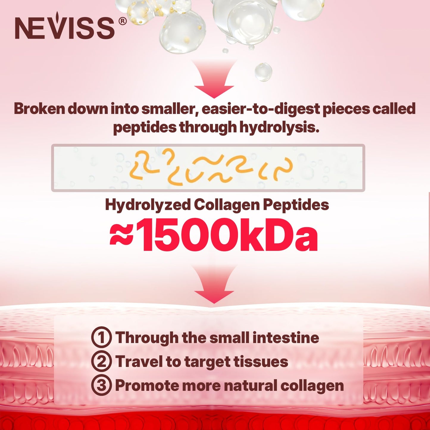 Hydrolyzed Collagen Gummies with Vitamin D3 & Biotin – Multi-Type I II III V X, Sugar Free, 60ct