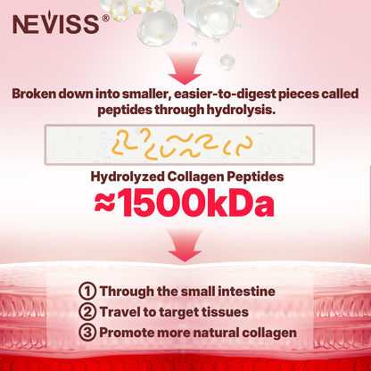Hydrolyzed Collagen Gummies with Vitamin D3 & Biotin – Multi-Type I II III V X, Sugar Free, 60ct