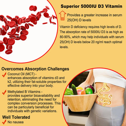 Vitamin D3 5000IU + K2 MK-7 Gummies – Sugar-Free, B Complex, Methyl B12 | 1 Pack