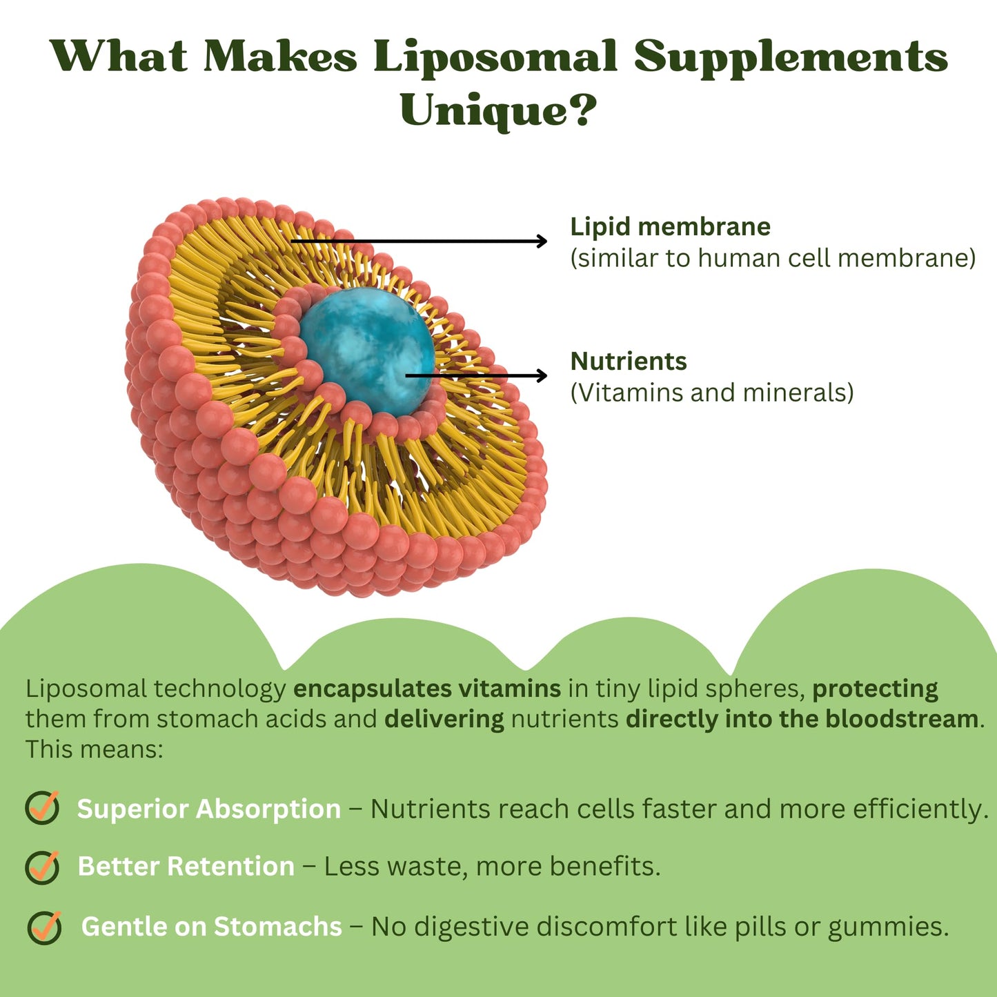 Vitaminally Liposomal Kids Multivitamin – Non-GMO, Sugar Free