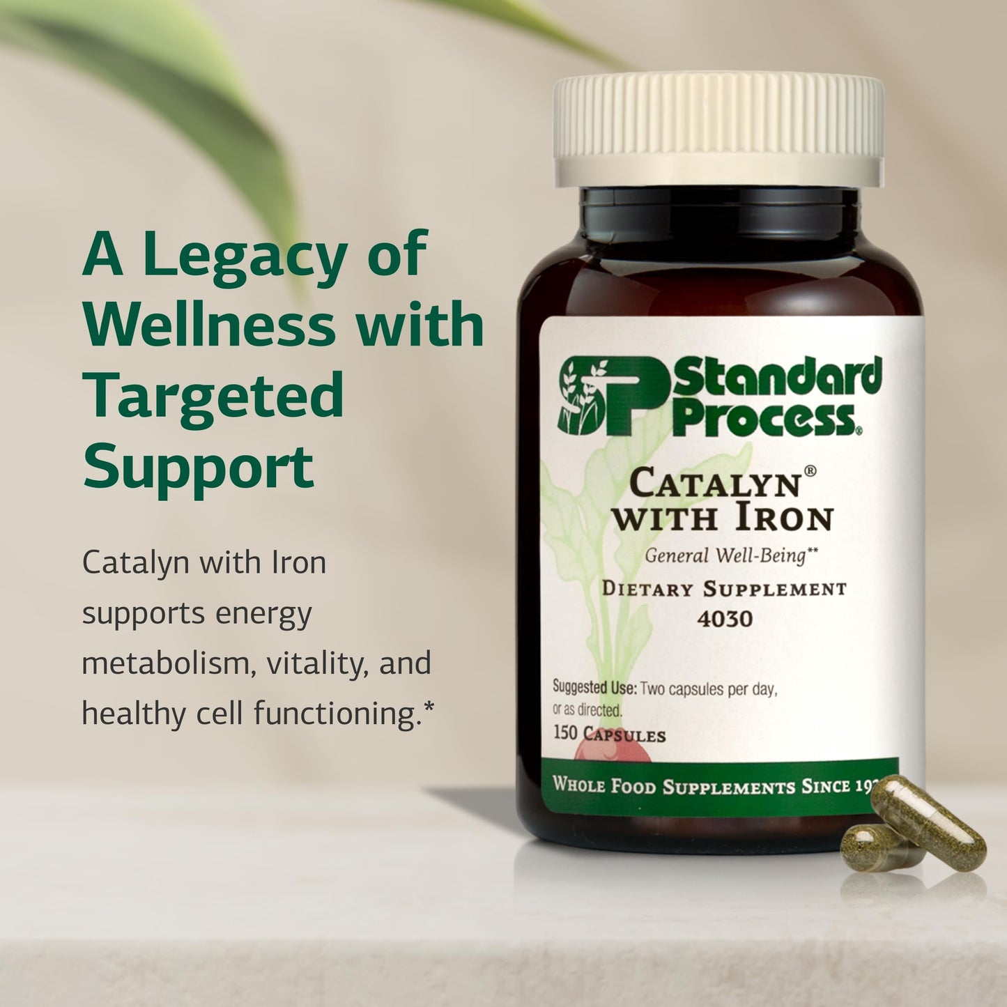 Catalyn with Iron by Standard Process – Energy & Metabolism Support (150 Capsules)