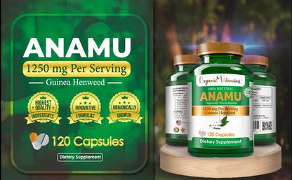 Organic Anamu 1250mg Supplement – 240 Capsules | Vitamisan (Petiveria alliacea)