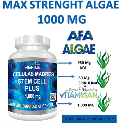 VITAMISAN Celulas Madres 60 Capsules 1000 mg AFA Blue-Green Algae Stem Cell - Pack of 2