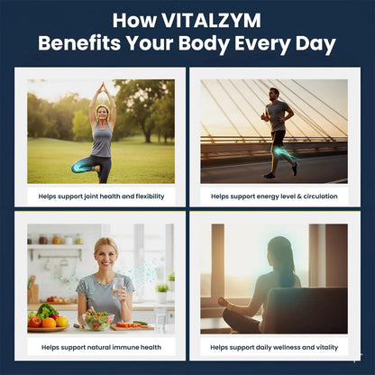 VITÄLZYM Proteolytic Systemic Enzymes Liquid Gel Capsules with Serrapeptase | Immune & Joint Support BritishVita | Premium UK Vitamins & Wellness Supplements