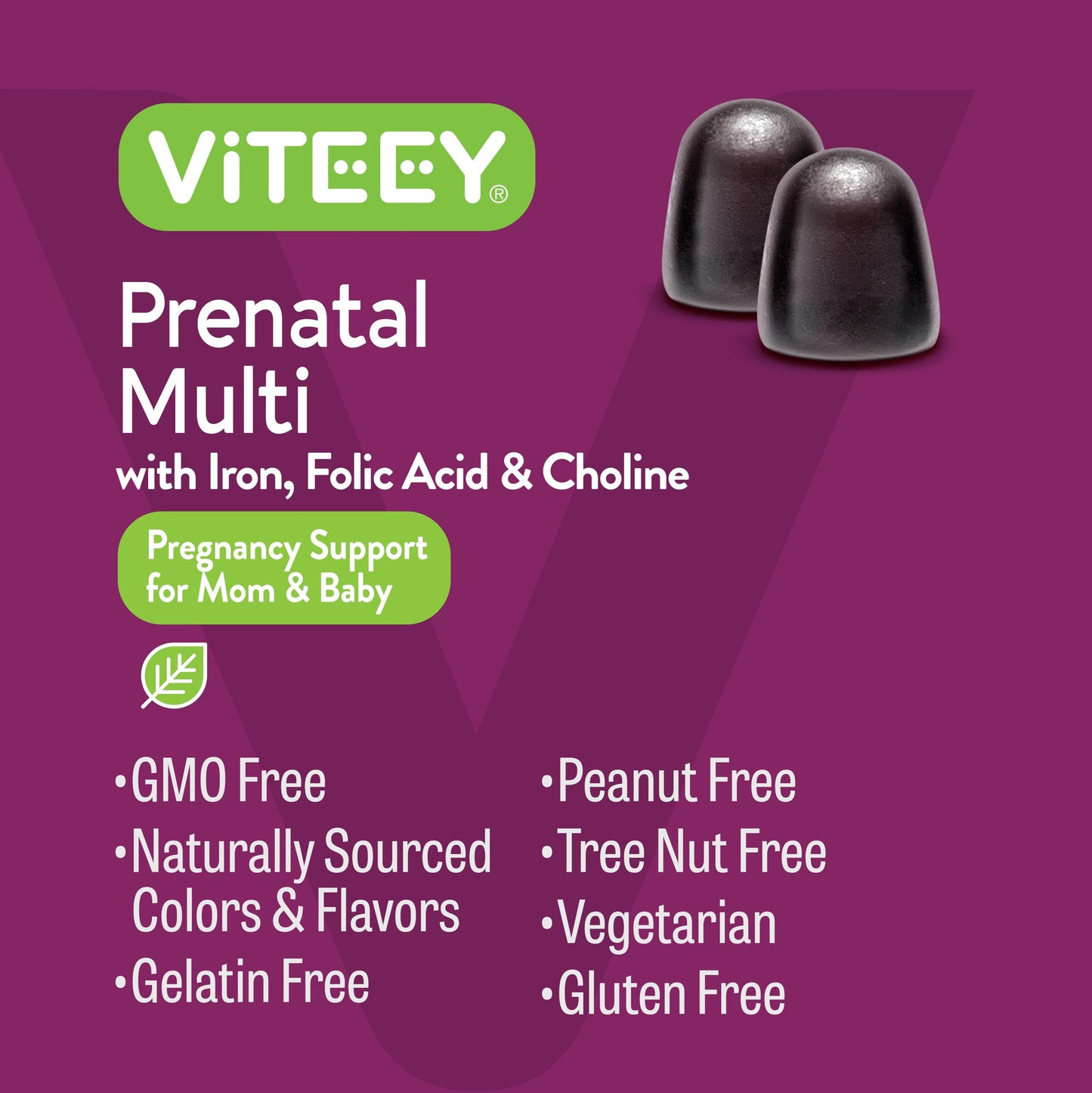Viteey Prenatal Gummies for Women – Iron, Folic Acid & Choline | 120 Count