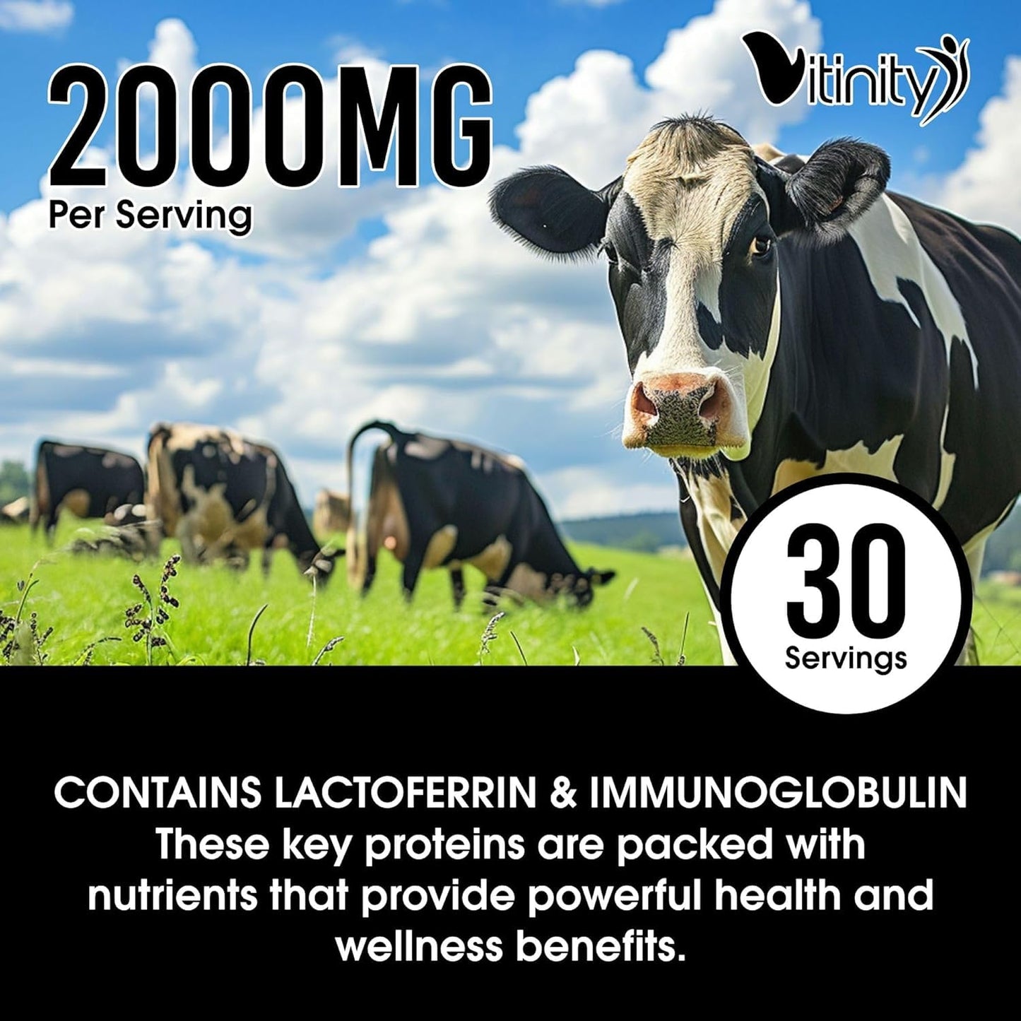 VITINITY Grass Fed Bovine Colostrum Capsules for Humans | Gut Health & Immunity | 120 Count