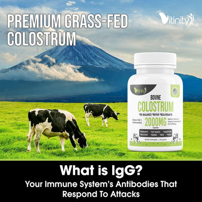 VITINITY Grass Fed Bovine Colostrum Capsules for Humans | Gut Health & Immunity | 120 Count